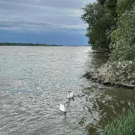 Beli Dvor Na Dunavu